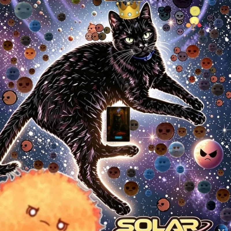  Gatinchi 2024 cat 