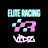 Elite Racing Vidz