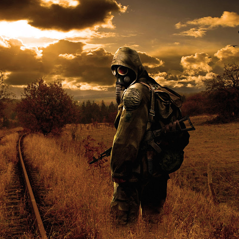 Посиделки у монитора 