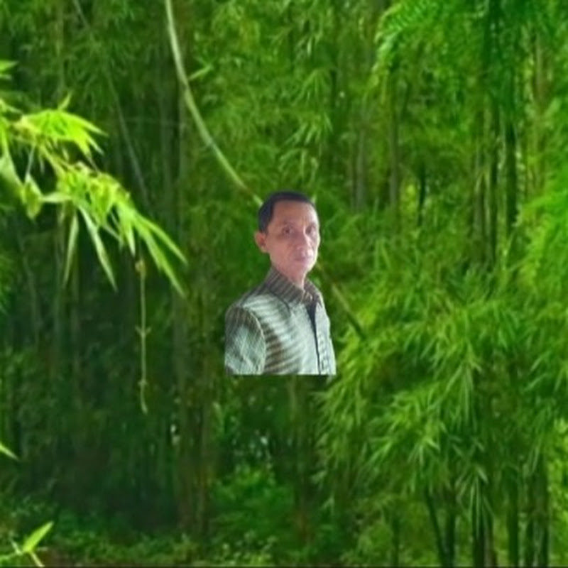 ບ້ານນາຖິ່ນເດີມบ้านนาถิ่นเดีม