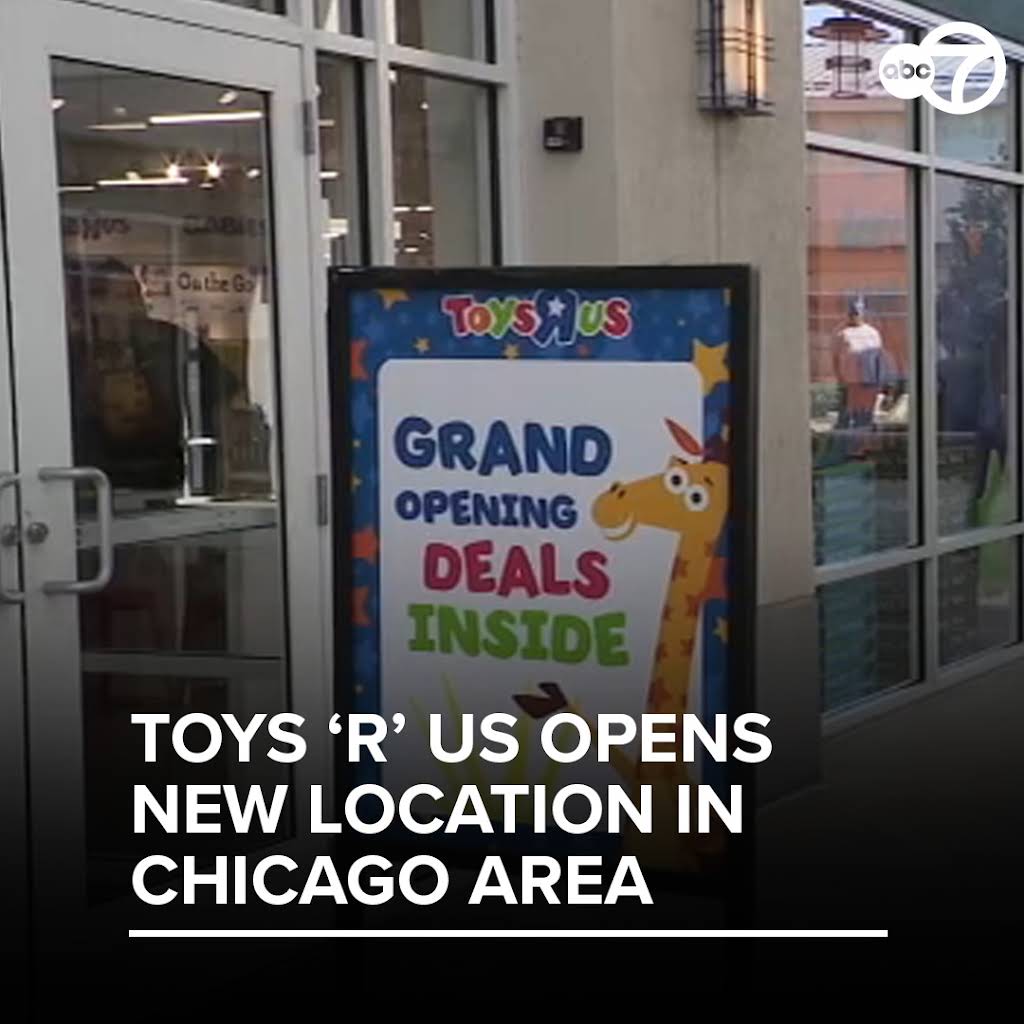 ルーシーテイラー コロナ　テディベア　THE CORONA UTILITY ルーシーテイラー コロナ テディベア THE CORONA UTILITY THE CORONA