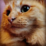 2yTI3x35LQk-channel-avatar-ButterBubs
