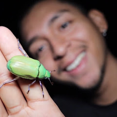 Tony!