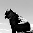 Uj62-JVOeZ8-channel-avatar-Pitbulls of the Lord Spiritual Warfare