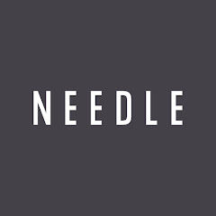 Needle