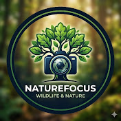 Naturefocus