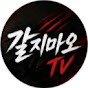 갈지마오tv