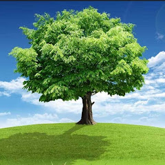 حول العالم