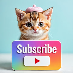 aistory12-13 