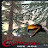 @anika_mills Avatar