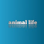 animal life