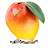 Mango bird
