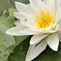 gsJF0JPdU5Y-channel-avatar-Elegant Valley Live