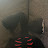 @MR_SIREN_HEAD Avatar