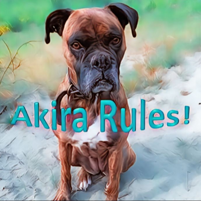Akira Rules 🐶