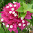 @TheresaTruong-x7w
