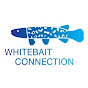 The Whitebait Connection logo