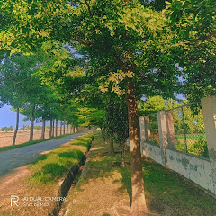 Natural View Vabs short 