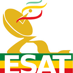 ESATtv Ethiopia net worth