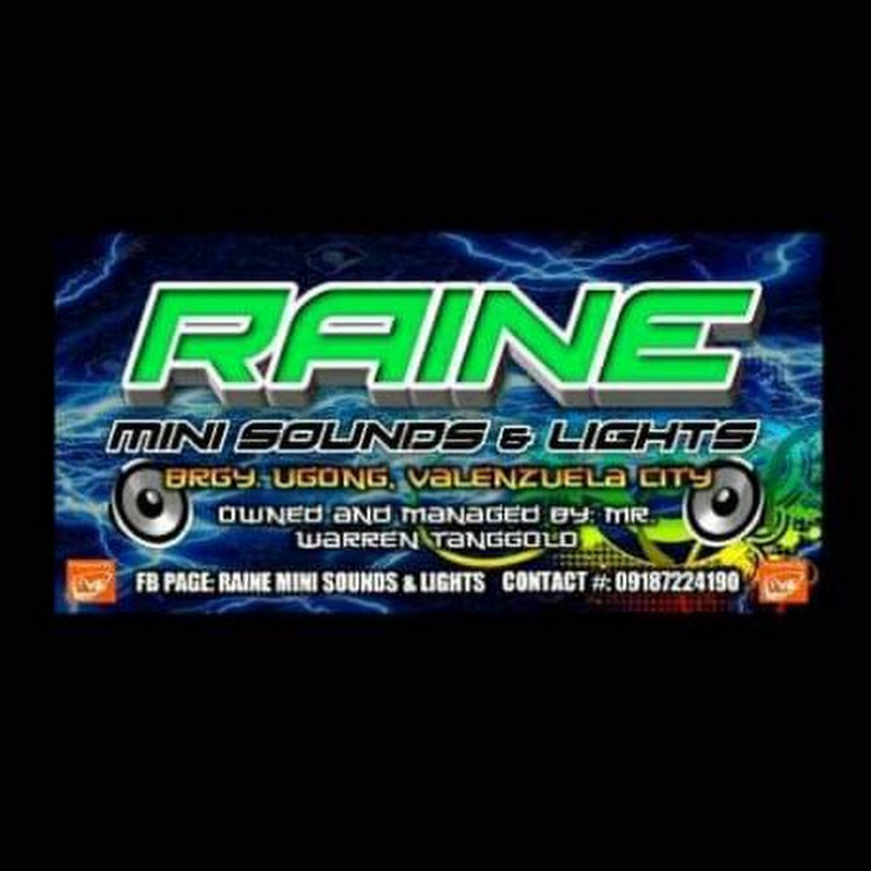 RAINE MINI SOUNDS & LIGHTS