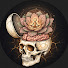 8TdiKj2Z9zQ-channel-avatar-Physcodox