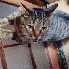 Rグレイ