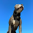 x73yJVD2-0g-channel-avatar-TRET AMSTAFF