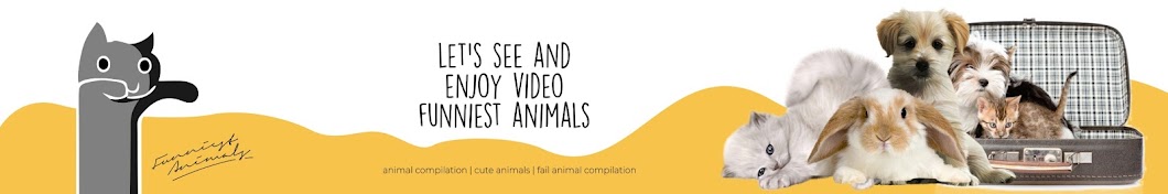 funniest animals رمز قناة اليوتيوب