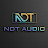 NDT Audio