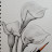 @waterway2300