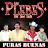 Los Plebes de San Luis - Topic