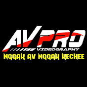 AV PRO VIDEOGRAPHY