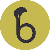 Bear Up Development
