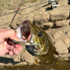 D’angler