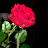 @AhmedAli-r7t8o