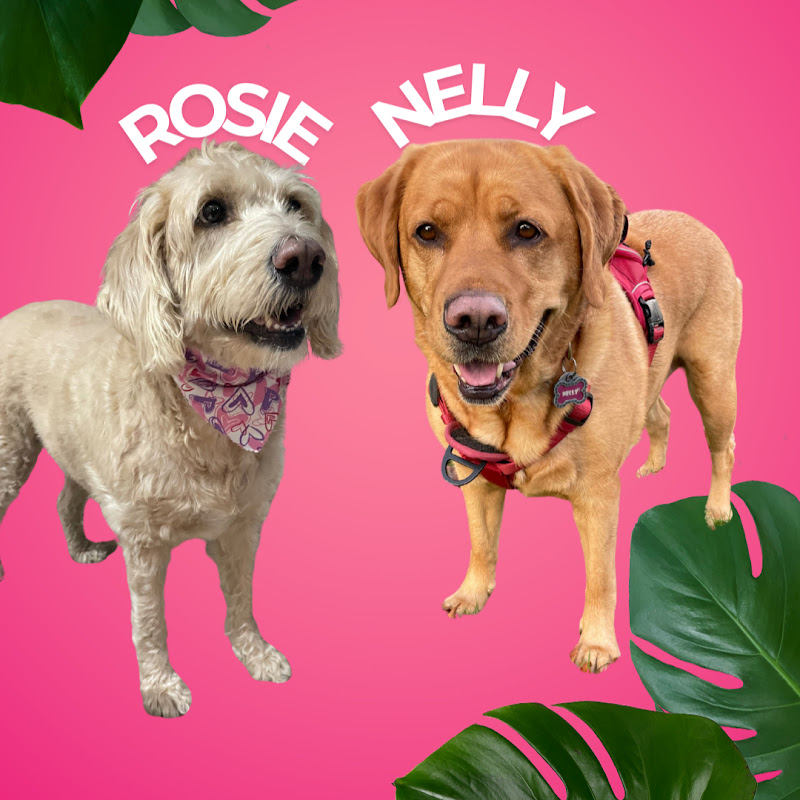 With Love From The Golden Girls