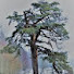 rgakNN3UXdM-channel-avatar-Pine Rapid Productions