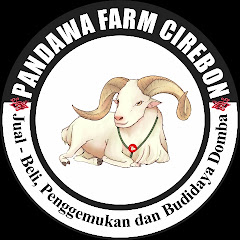 Pandawafarmcirebon