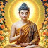 QURUs5NbIrA-channel-avatar-Buddha's Dammha