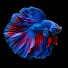 NIJNTzigP38-channel-avatar-Dark Aquarium