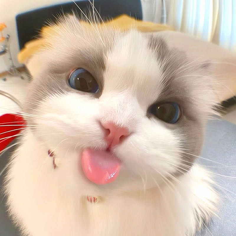 Hùng Hồi Hộp