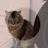 DMSsbgoTsyE-channel-avatar-iBejo Channel