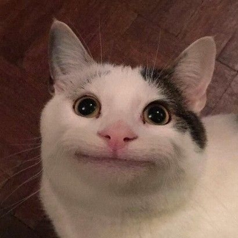 BoosterFace
