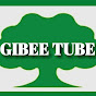 Gibe Tube
