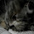 @هبة_15ه