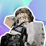 ouiVcIwZd94-channel-avatar-JustPiko