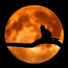lpVxUHawp0E-channel-avatar-m00nlight