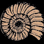Fossilize logo