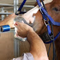 Moore Equine Dental Services logo