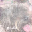 @Dogsforever_hey